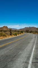 Fototapeta premium eine asphaltierte Straße führt durch die bizarre Landschaft