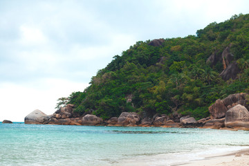 tropical palm trees on the mountain and sandy beach by the ocean
