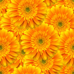 seamless pattern with  gerbera flowers