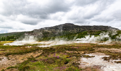 Fototapeta na wymiar Haukadalur geothermal area along the golden circle, Iceland