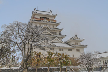冬の福山城の風景