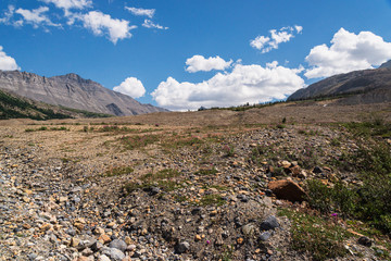 Columbia Icefield view, Jasper National Park, Alberta, Canada