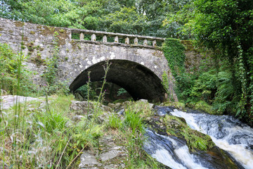 Fototapeta na wymiar Old bridge over the river. Ireland