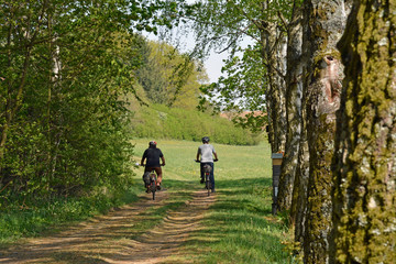 Fototapeta premium radfahrer auf einem feldweg