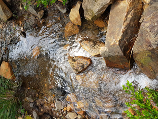 Acqua di torrente