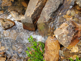 Acqua di torrente