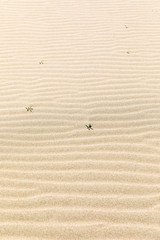 Waves of sand, iztuzu, Dalyan, Turkey.