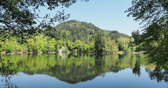Naturpark S&uuml;dschwarzwald. Spaziergang um den Bergsee oberhalb Bad S&auml;ckingen und Gipfel R&ouml;thekopf unter einem fr&uuml;hlingsblauen Himmel in Baden-W&uuml;ttemberg