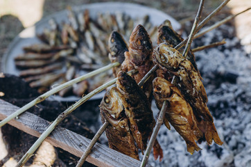 wild fish caught in the lake fried on a fire on wooden sticks. Fish on sticks