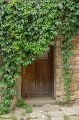 Doors in a stone wall overgrown with ivy