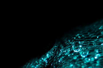 Background and backsplash of wet net with moist crystal water drops stuck between strings - abstract structure, technology, design, aquamarine gemstones