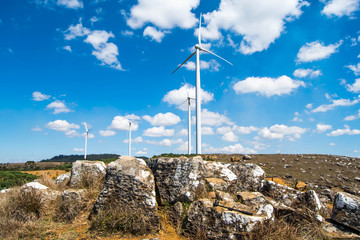 Fototapeta na wymiar Beautiful landscape in a wind farm in the countryside, in Bom Jardim da Serra, Santa Catarina, Brazil