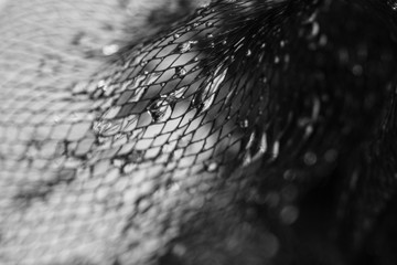 Background and backsplash of wet net with moist crystal water drops stuck between strings -...