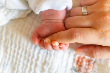 Family hands with baby, mother and father, fingers with wedding rings