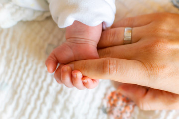 Family hands with baby, mother and father, fingers with wedding rings