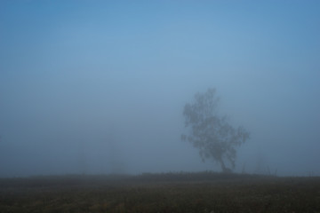 Obraz na płótnie Canvas misty summer dawn in the low mountains