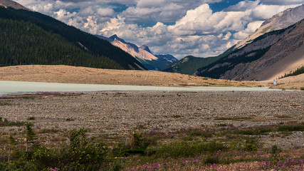 nature scenarios along the YellowHead Highway from Hinton to Jasper, Alberta, Canada