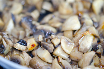 Fried mushrooms close up. Cooking. Healthy food