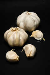 Head and chive on a dark background