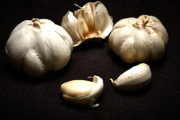 Head and chive on a dark background
