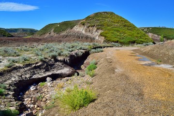 Dinosaurs Trail , Drumheller  Canyon , Canada 