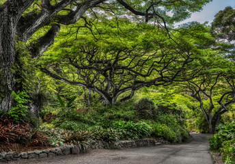 Waimea Falls Park, Oahu, Hawaii