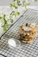 Sherbet, cookies with fondant, nuts and raisins on a wire rack on a light gray background, sliced ​​in portions and icing sugar stacked in a stack with a flowering branch vertical arrangement