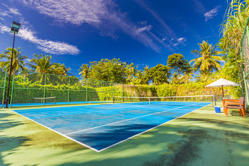 Amazing sport and recreational background as tennis court on tropical landscape, palm trees and...