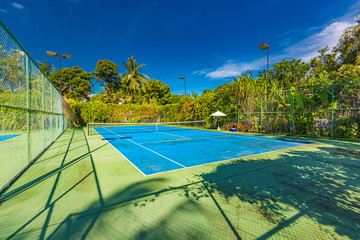 Amazing sport and recreational background as tennis court on tropical landscape, palm trees and...