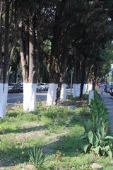 The Streets Of Sochi.