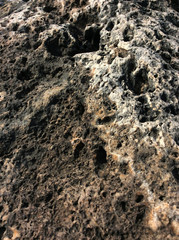 Nature texture