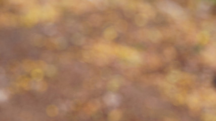 Abstract dirty background, Brown background.