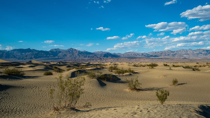 Fototapeta na wymiar die Mesquite Flat Sanddünen in Kalifornien