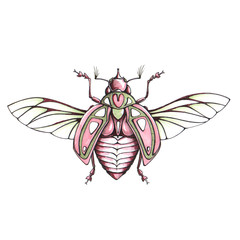 bug on white background. Hand drawn sketch