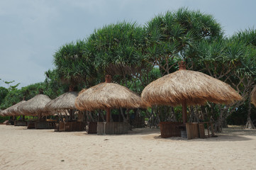 Beach umbrellas from straw on tropical sandy beach.