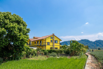 Fototapeta na wymiar Single Yellow House villa