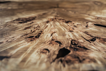 Wood surface cross section of elm tree. Live slab texture. Solid elm wooden table with epoxy resin...