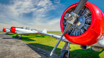 historical aircraft on an airfield