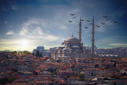 An aerial view for Istanbul with clouds and Sultan Ahmed Mosque with birds In the sky