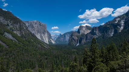 Ausblick auf die Wälder und den Wasserfall des Yosemite Nationalparks