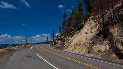 Fototapeta premium eine asphaltierte kurvige Straße in Amerika