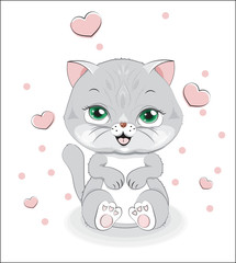 Fototapeta premium baby gray cat