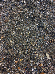 Nature texture