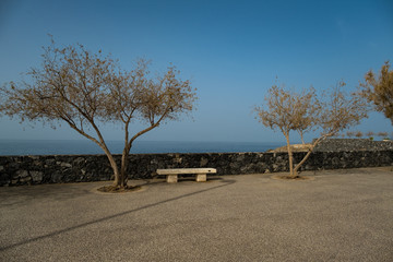 Obraz premium eine Holzbank zwischen zwei Bäumen