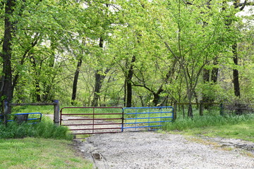 Gate on a Gravel Lane