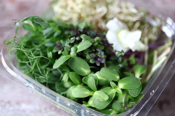 Selective focus. Macro. Mix of microgreens. Super food. Organic food.