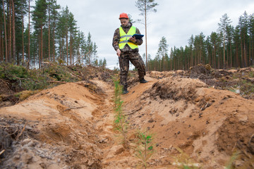 A forester in working clothes records the planted pine seedlings. The forester checks the planting of trees. Forestry. forest work. Real people work.