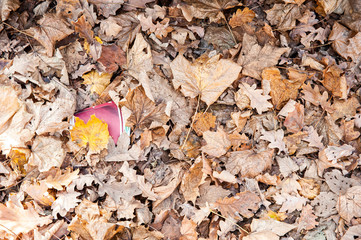 Waste thrown out in the forest