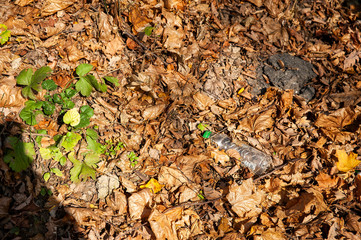 Plastic waste thrown out in the forest