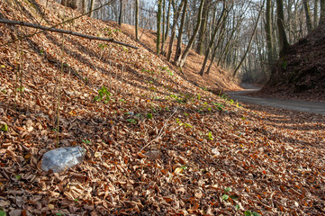 Obraz premium Plastic waste thrown out in the forest